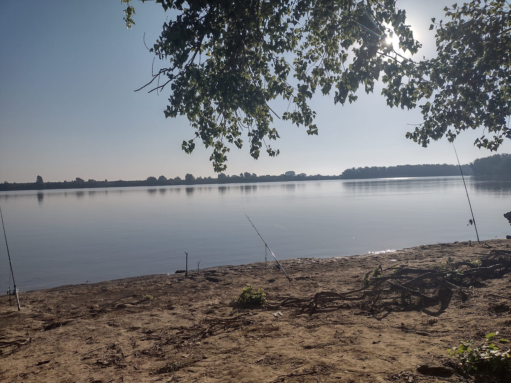 Dunare - canalul sf. Gheorghe - 2022 - 291730709102247983524408396865259598646978638n.jpg